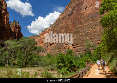 View along the Virgin River beside Riverside Walk, Zion National Park, Springdale, Utah, United States. Stock Photo