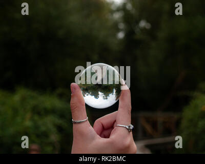 One person with a crystal ball in her hand in a forest in autumn Stock Photo