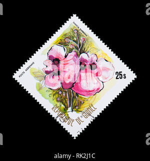 Postage stamp fro Guinea depicting twinspur (Diascia barberae) Stock Photo