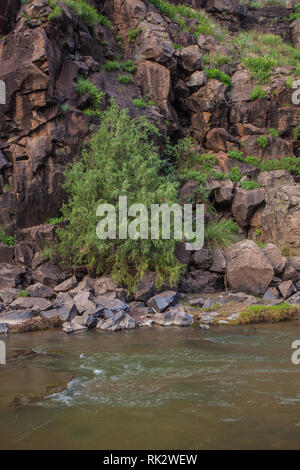 Rio Piedras Verdes, Mpo. Casas Grandes, Chihuahua, Mexico Stock Photo -  Alamy