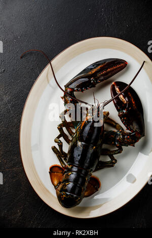 Fresh raw live Lobster on plate on black background Stock Photo