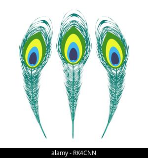 Set of Colorful Peacock Feathers. Stock Vector