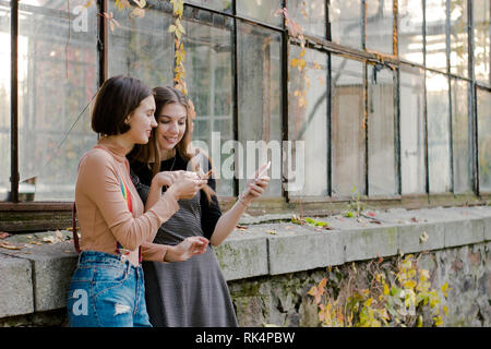 Two students making video call on the phone in the autumn park Stock Photo