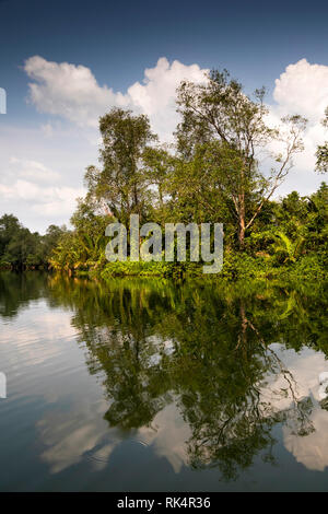 Cambodia, Koh Kong Province, Andoung Tuek, trees lining banks of Preak Piphot River, en route to Chi Phat Stock Photo