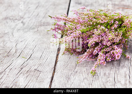 Bunch of heather flower (calluna vulgaris, erica, ling) on shabby