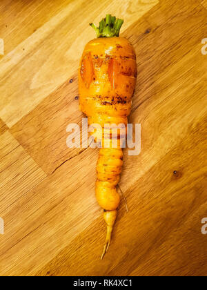 One homegrown carrot laying on a wooden surface Stock Photo