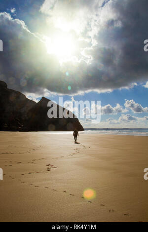 Walking dogs on a Cornish beach Stock Photo