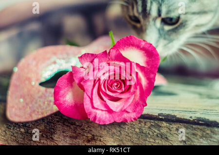 Pink rose in the shape of a heart on a blurred wooden background.Photo for in love, Valentin's day concept. Stock Photo