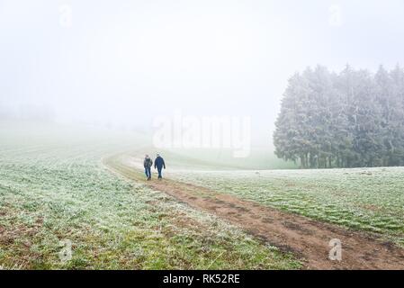 Two hikers on their way through fog landscape, Odenwald, Germany, Europe