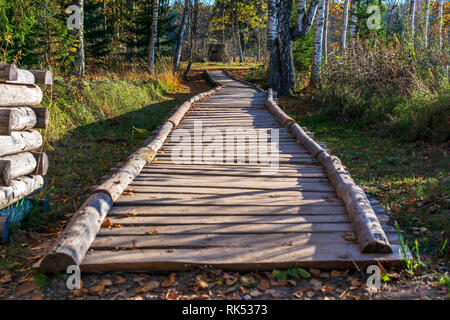 Beautiful long wooden path trail for nature trekking with forest around in the Araisi Archaeological Museum Park, Latvia. Stock Photo