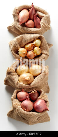 Vertically arranged row of burlap sack bags with different kind of fresh red and yellow onion, viewed from above on white background Stock Photo