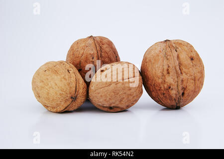 walnut on a black background Stock Photo