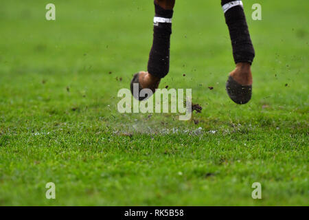 Polo horse legs in motion close up, flying above the ground. Horizontal. Stock Photo