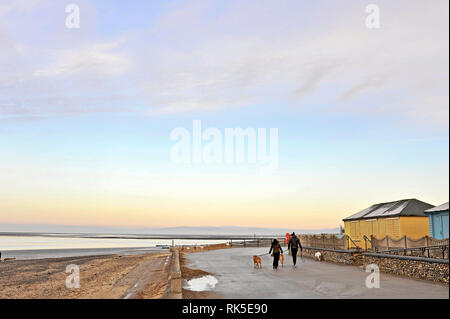 Man and women walking dogs along Fleetwood seafront ion a late afternoon in winter Stock Photo