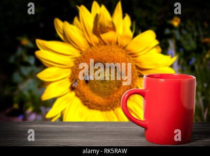 red cup on a blurred background of a sunflower in the background Stock Photo