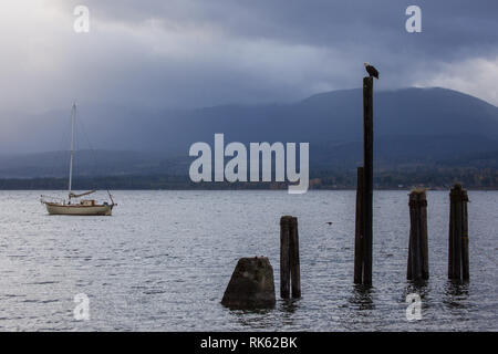 Denman Island, Northern Gulf Islands, British Columbia, Canada Stock Photo