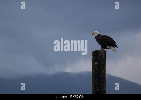 Denman Island, Northern Gulf Islands, British Columbia, Canada Stock Photo