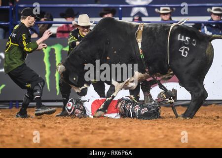 Arlington, TX, USA. 15th Jan, 2016. Scarface steps on LONNIE WEST from Canada at the AT&T Stadium in Arlington, TX. Credit: Amy Sanderson/ZUMA Wire/Alamy Live News Stock Photo