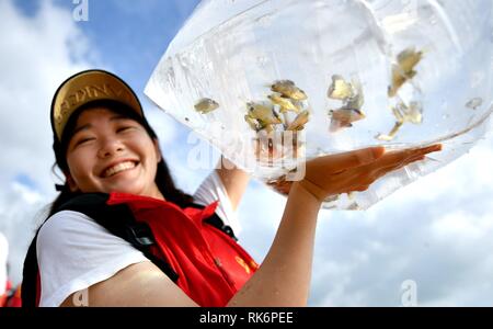 Beijing, China. 10th Feb 2019. A volunteer shows the fish fries to be released into the sea in Haikou, capital of south China's Hainan Province, June 8, 2018. More than 100 million Chinese have registered as volunteers by the end of 2018, according to the Ministry of Civil Affairs. There have been about 12,000 organizations of volunteer services registered by the end of 2018, which provided more than 1.2 billion hours of service in total. n volunteering in recent years, pa Stock Photo