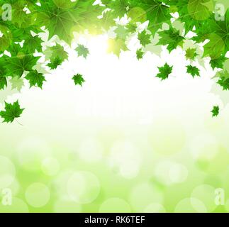 Frame of fresh green leaves of maple. Sunny spring or summer day. Awakening of nature. Cover or background for an article. Stock Vector