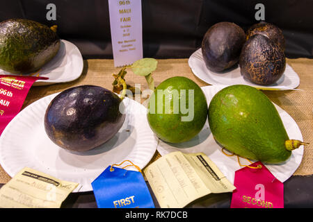 Maui Avocados Stock Photo