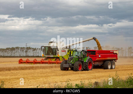 Dorie, Canterbury, New Zealand - January 19 2019: A combine harvester unloads barley into the bins in a field in summertime Stock Photo
