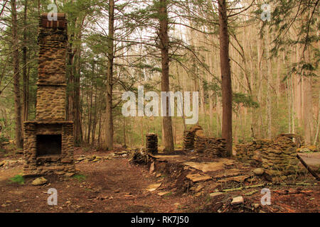 Numerous ruins, such as those pictured here, can be found scattered throughout the Elkmont Historic District in Great Smokey Mountains National Park Stock Photo