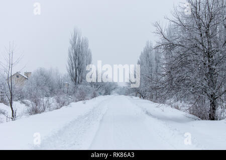 Winter snow trees, New Year's mood. Stock Photo