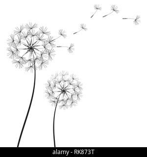 Abstract Dandelions dandelion with flying seeds – stock vector Stock Vector