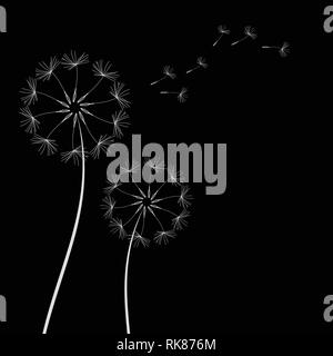 Abstract Dandelions dandelion with flying seeds stock vector Stock Vector