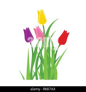 Early spring forest and garden flowers isolated on white vector set ...