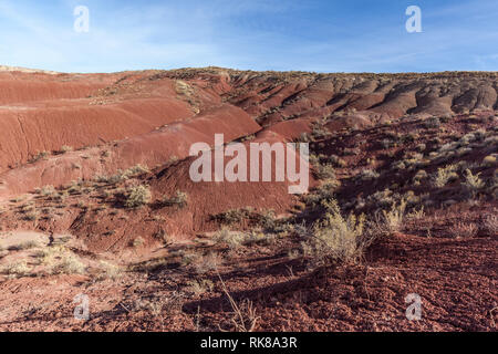 View of  Petrified Forest National Park, Arizona, US. Petrified Forest National Park is known for the fossils of fallen trees lived 225 million years Stock Photo