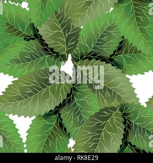 Green leaves texture. Vector illustration Stock Vector Image & Art - Alamy