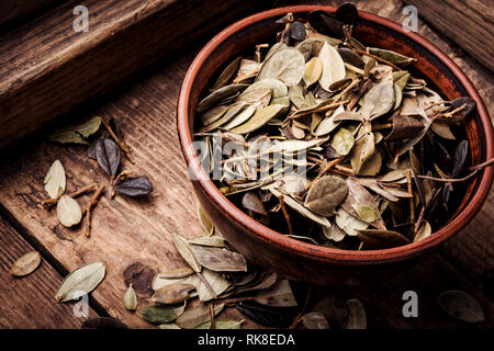 Dried lingonberry leaves in traditional medicine.Dried medical plant Stock Photo