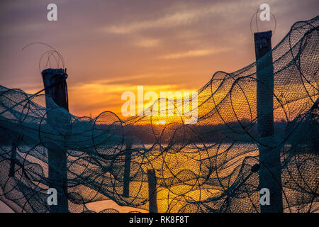 A fish trap is a stationary trap used for fishing. Stock Photo