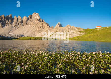 Locatelli hut and Mount Paterno in summer, with Piani lakes and flowers in the foreground. Sesto Dolomites, Trentino Alto Adige, Italy. Stock Photo