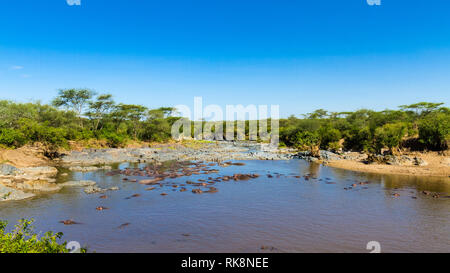 Gippo pool in savanna of Serengeti, Tanzania. Stock Photo