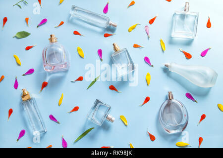 Perfume bottles with the flower petals on blue background Stock Photo