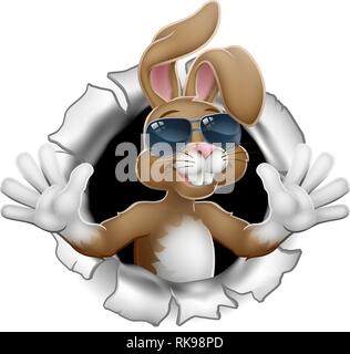Easter Bunny Rabbit in Shades Breaking Background Stock Vector