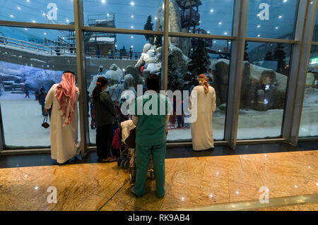 Visitors and families watching through large glass windows of skiers skiing on real snow at the Ski Dubai inside the Mall of the Emirates shopping mal Stock Photo