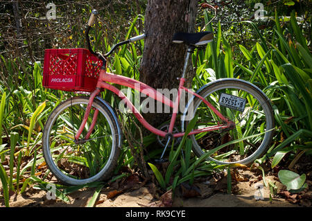 Bicycle parked on Playa Bluff on Colon Island in Bocas Del Toro