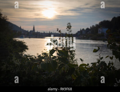 Sunset in heidelberg Stock Photo