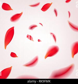 falling petals of pink roses on a white background Stock Vector Image & Art  - Alamy