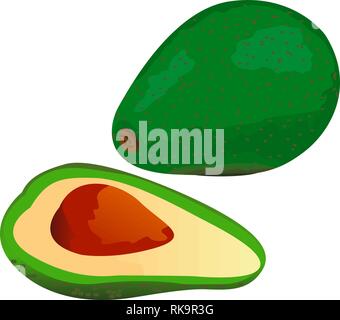 One Avocado and a half vector illustration on a white background isolated Stock Vector