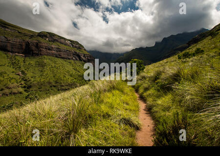 The Tugela Gorge hiking trail leading along a brightly lit hillside towards the Amphitheatre Mountain in the Drakensberg, South Africa Stock Photo
