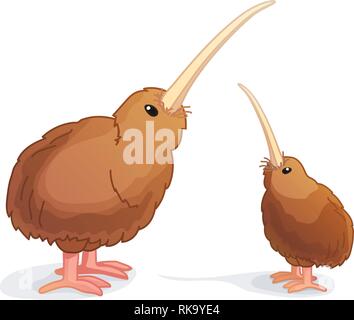 vector cartoon animal clipart: wingless kiwi bird Stock Vector