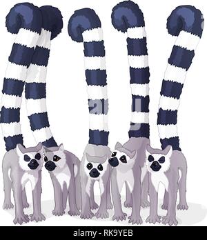 vector cartoon animal clipart: cute striped lemurs Stock Vector