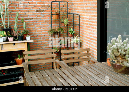 Relaxing space surrounded by the succulent plants at the backyard Stock Photo