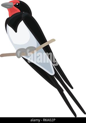 vector cartoon animal clipart: swallow bird Stock Vector