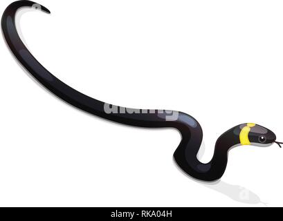 vector cartoon animal clipart: grass snake, natrix Stock Vector